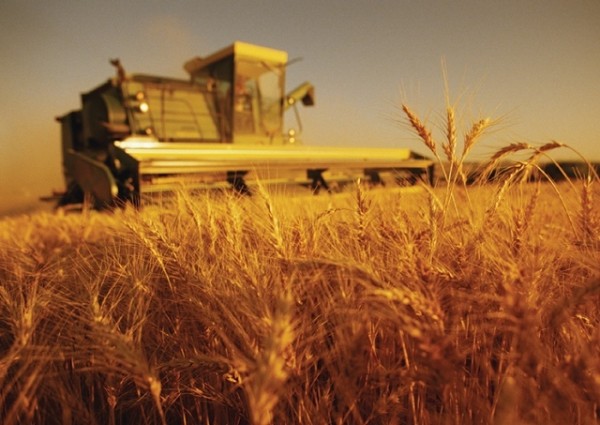 Olandezii, interesaţi de agricultura ecologică din Republica Moldova